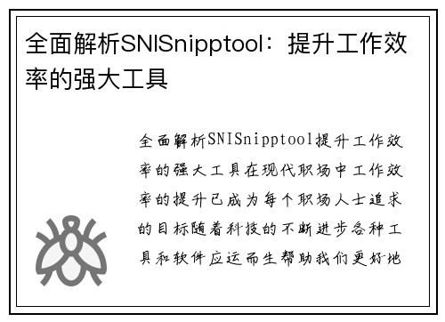 全面解析SNISnipptool：提升工作效率的强大工具